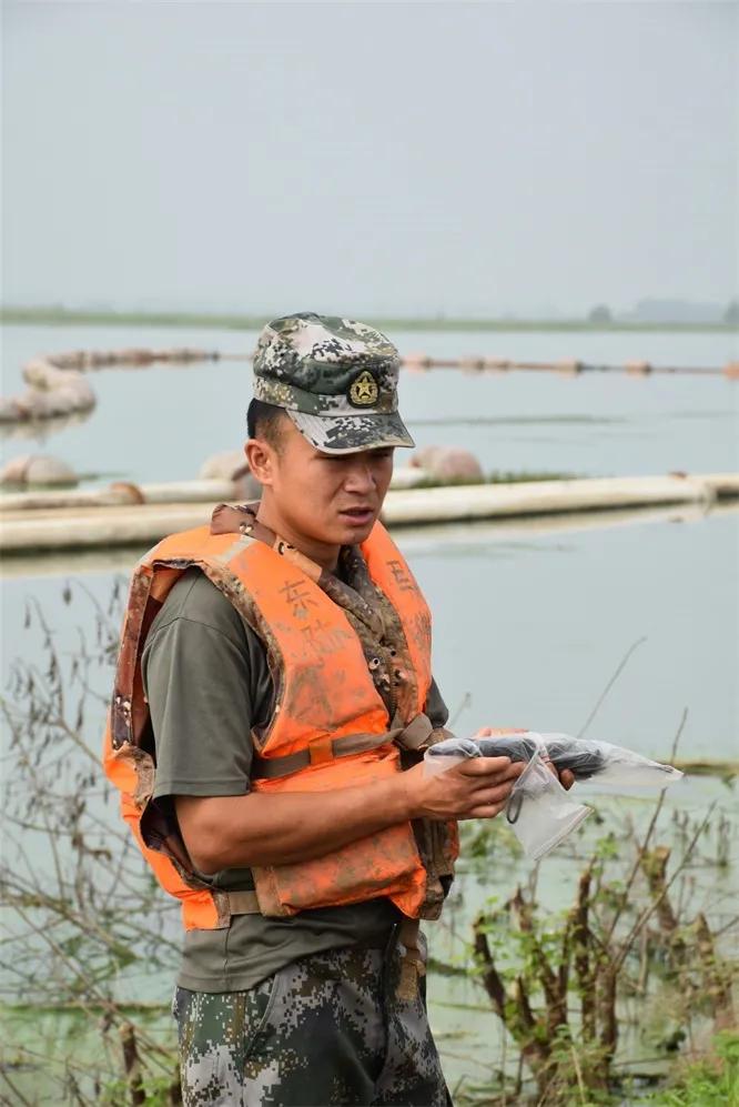 精准预测，揭秘最准一肖与中特之谜最准一肖一码一一孑中特深圳市邮乐达货运有限公司
