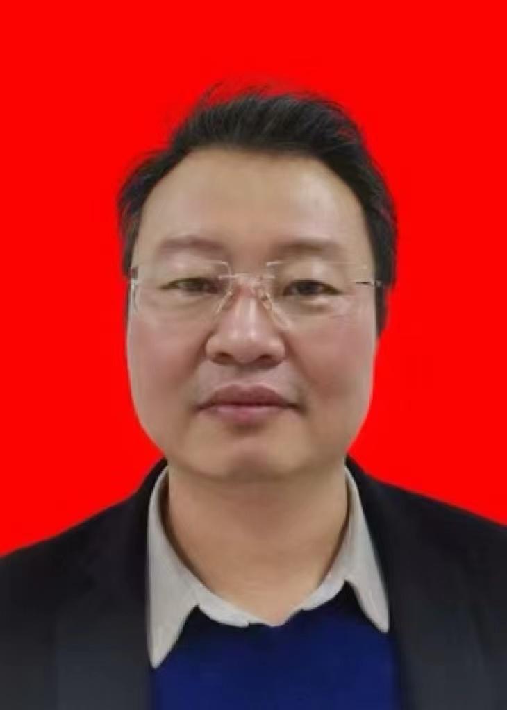 山东齐鲁风采双色球开奖结果查询，揭秘彩票背后的数字游戏与幸运之谜
