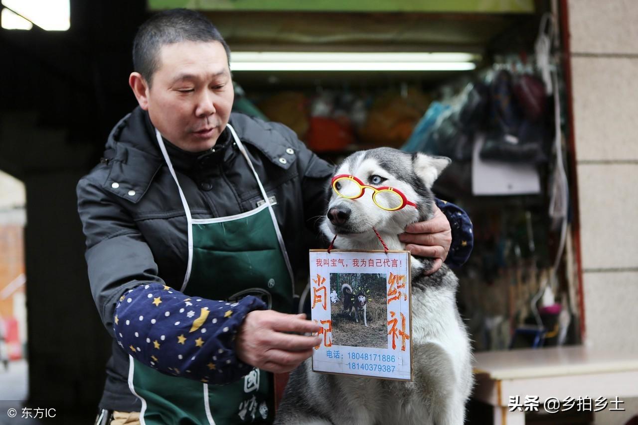 揭秘四肖选一，精准预测中特特的奥秘四肖选一肖中特特官方版预约