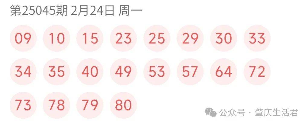 今晚开奖结果，揭秘彩票背后的故事与期待今晚开奖结果 开奖号码